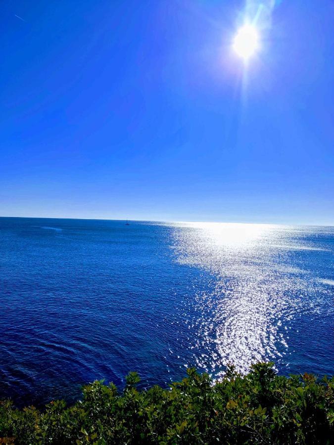 Perla De Mar Lägenhet L'Ametlla de Mar Exteriör bild